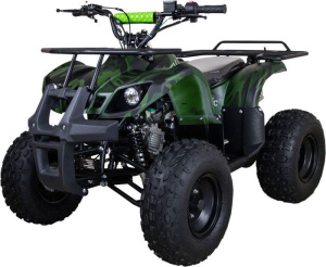 Квадроцикл ATV Classic 8 2024