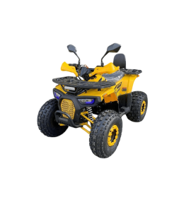 Квадроцикл ATV R-moto Lion 125 AR