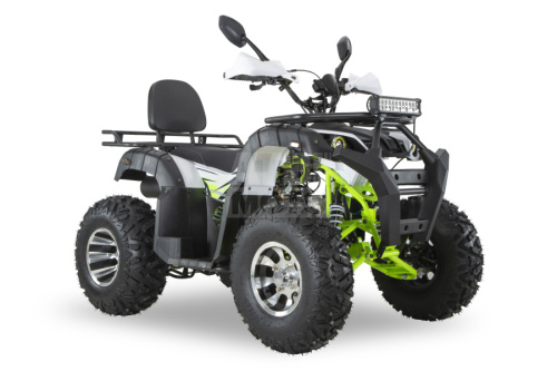 Квадроцикл ATV R-moto Lion 200 PRO Квадроцикл ATV R-moto Lion 200 PRO
