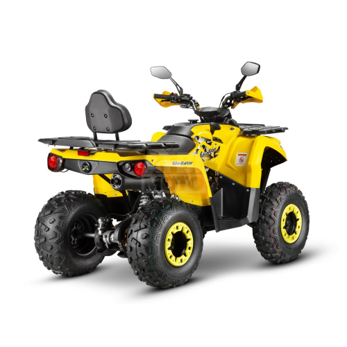 Квадроцикл ATV Gladiator F200 Lux Квадроцикл ATV Gladiator F200 Lux