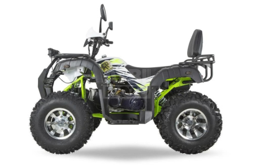 Квадроцикл ATV R-moto Lion 200 PRO Квадроцикл ATV R-moto Lion 200 PRO
